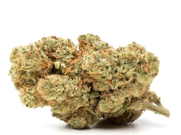 Amnesia Haze - Flower