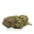 blbry1 Blue Dream - Flower