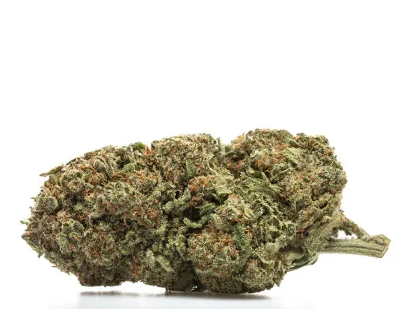 Blue Dream - Flower