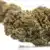 blbry2 Blue Dream - Flower