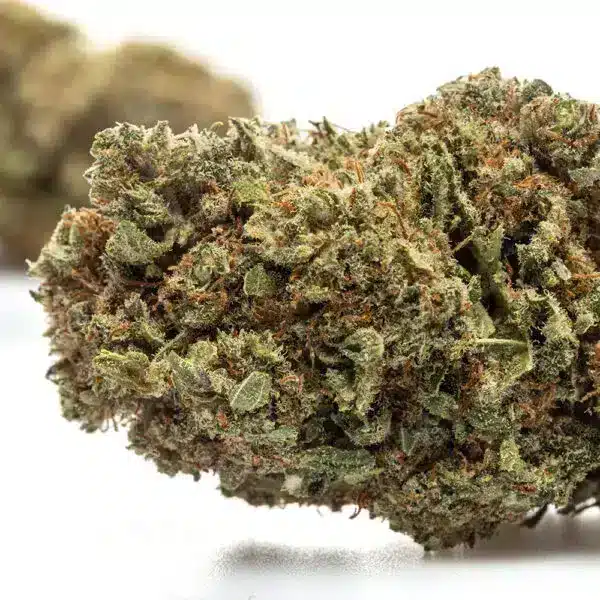 blbry2 Blue Dream - Flower