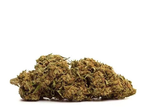 grlglu1 Gorilla Glue - Flower