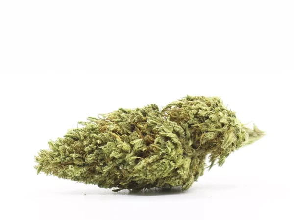 Lemon Haze - Flower