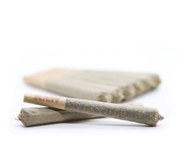 Pre-Rolls 10Stk. (26% THC)
