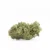 White Cheese - Flower