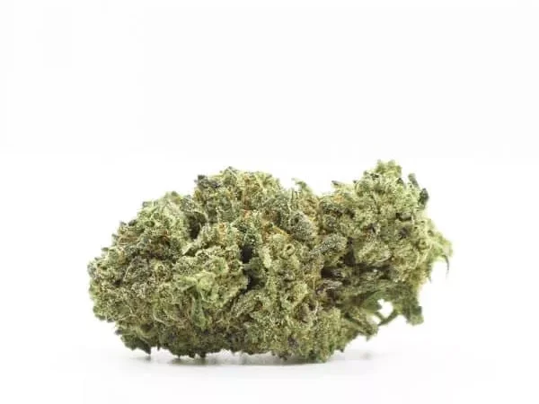 White Cheese - Flower