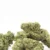 White Cheese - Flower