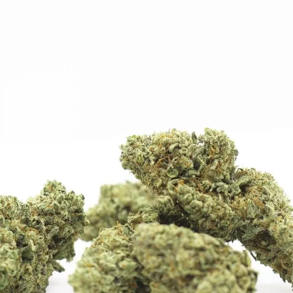 White Cheese - Flower