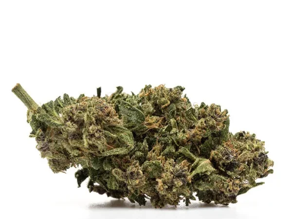 Strawberry Cheesecake - Flower